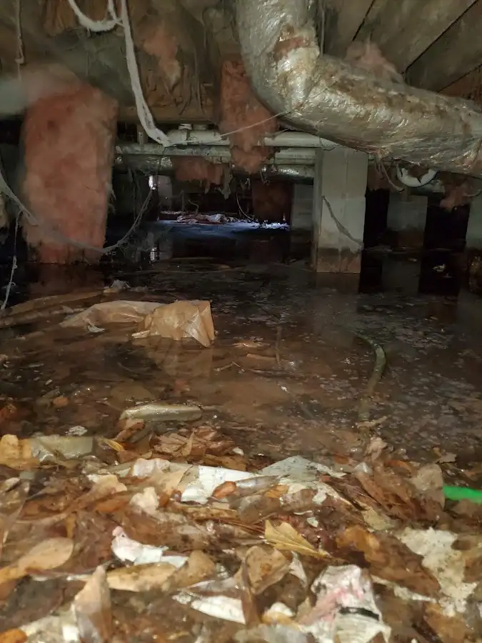 Crawl space flood assessment for Leak Detection & Repair in Burlington